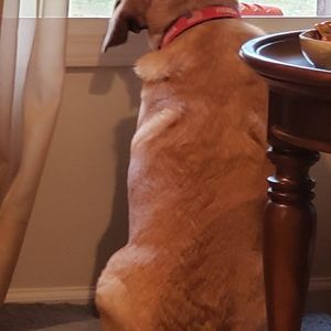 Meet your Posher, Diane